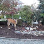 Josh Casey Josh Casey