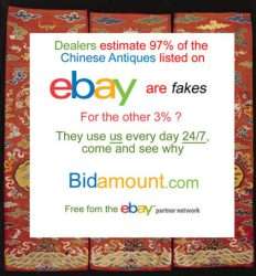 Ebay and Bidamount newsletter