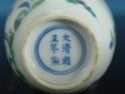 Yongzheng Reign mark on Doucai bottle