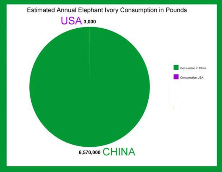  Estimate Of Annual Ivory Consumption: USA V China,