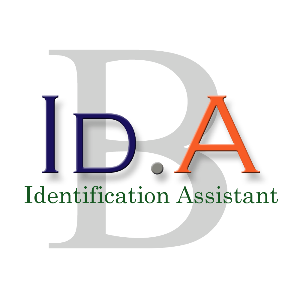 Bidamount Chinese Antiques Identification Assistant Services