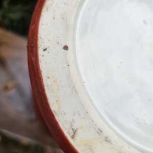 20251110 081325 20251110 081325