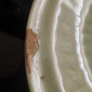 20251103 215450 20251103 215450