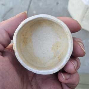 20260227 073647 20260227 073647