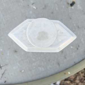 20260227 073618 20260227 073618