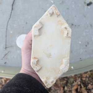 20260227 073656 20260227 073656