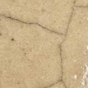 20260409 072816 20260409 072816