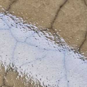 20260409 072758 20260409 072758