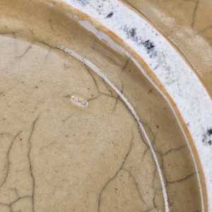 20260409 072654 20260409 072654