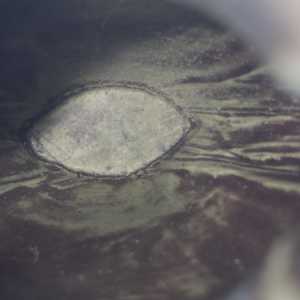 20260613 165849