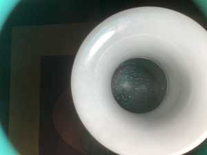 IMG 1674