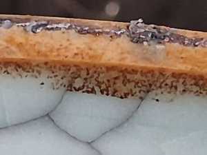 20260128 150622 20260128 150622