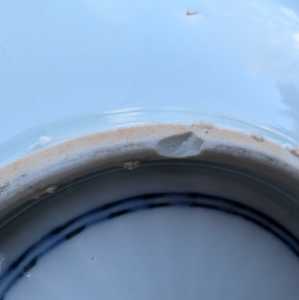 PXL 20251219 140928992 PXL 20251219 140928992