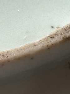IMG 3376