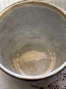 IMG 4503