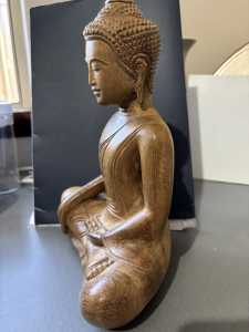 IMG 4651