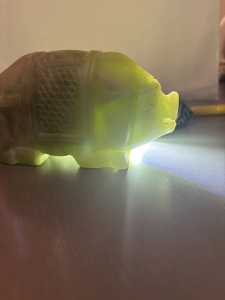 IMG 4695