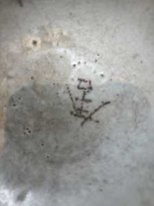 IMG 6559