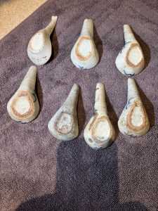 IMG 6561