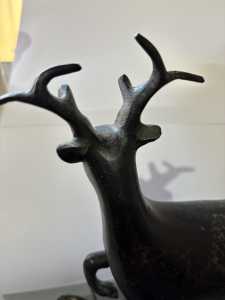 IMG 6813