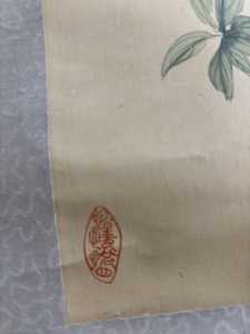 IMG 7530