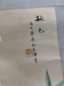 IMG 7529