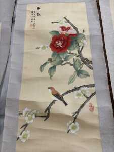 IMG 7526