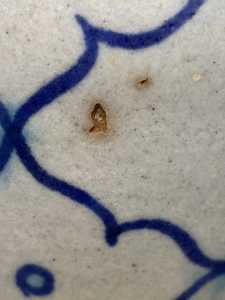 IMG 7717