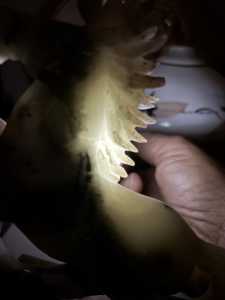 IMG 7891