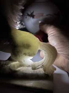 IMG 7890