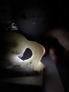 IMG 7892
