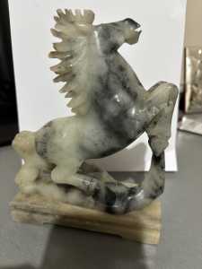IMG 7895