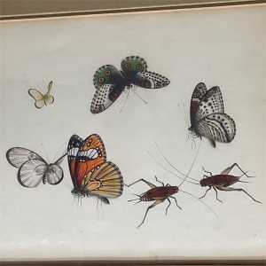 7d2242c2 fc28 4e77 8acc 1857c4f0c391 largesize