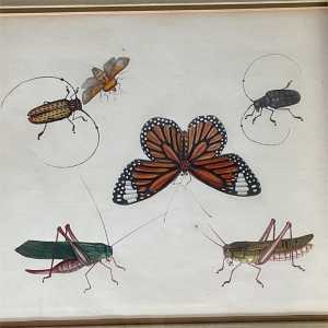 ae2c558d 06a7 487d 8173 535188dfd7b8 largesize