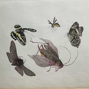 69775372 a563 4e31 8323 ced68566b875 largesize