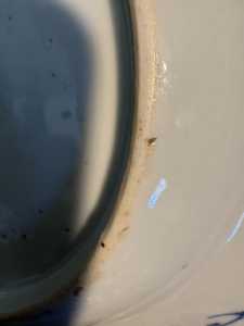 6 IMG 0810