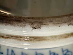 3 SUPER GREAT Photo DOUCAI PHOENIX AND FLORAL PATTERN PORCELAIN BOWL 1127