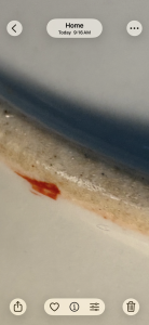 11 IMG 1693