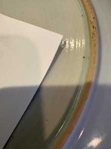 5C 5C