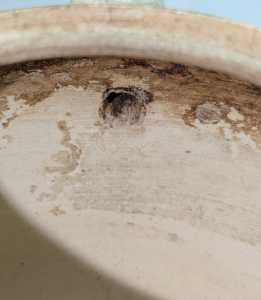 PXL 20251220 042124867 PXL 20251220 042124867