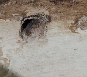 PXL 20251220 042020706 PXL 20251220 042020706