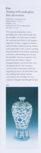 Harrison Hall 2001 Catalogue of Late Yuan and Ming Ceramics in the British Museum
