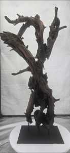 The Sentinel