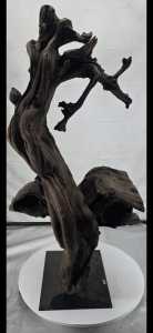 The Ascendant