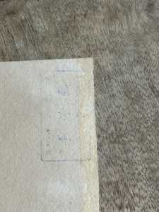 IMG 5528