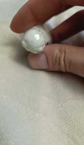 IMG 20260813 150900