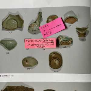 IMG 9507~2