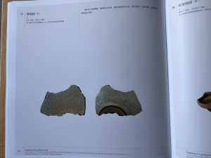 IMG 0668