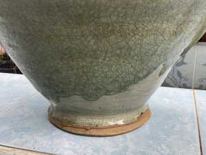 IMG 3600