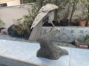 IMG 3786